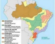 quais-os-biomas-brasileiros-2