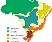 quais-os-biomas-brasileiros-5