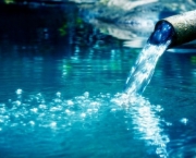 Qualidade da Agua e os Bioindicadores (5).jpg