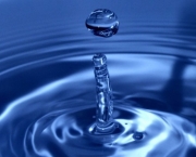 Qualidade da Agua e os Bioindicadores (6).jpg