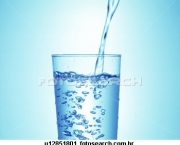 agua-e-os-bioindicadores-5