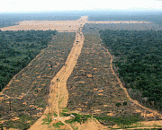 queda-no-desmatamento-na-amazonia-1