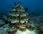 recifes-artificiais-vestigios-de-humanos-nos-mares-5
