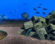recifes-artificiais-vestigios-de-humanos-nos-mares-6