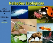 Relações Ecológicas (3)