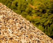 residuos-da-biomassa-bom-ou-ruim-10