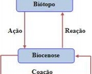 riqueza-6