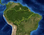 satelite-da-nasa-indice-de-desmatamento-no-brasil-3