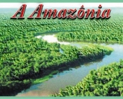 savanas-amazonicas-11