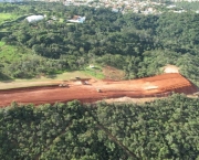 situacao-atual-do-desmatamento-no-brasil-8