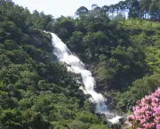 rios-e-cachoeiras-do-brasil-1