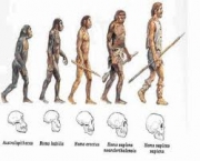 teoria-da-formacao-humana-nas-americas-4