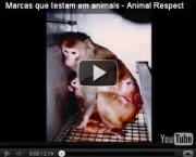 testes-realizados-em-animais-4