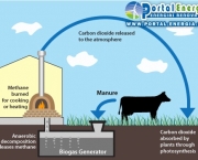 tudo-sobre-o-biogas-4