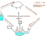 tudo-sobre-o-biogas-5