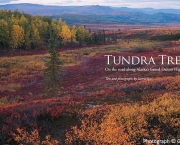 Tundra e Florestas Boreais (16).jpg