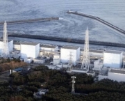 usinas-nucleares-e-o-meio-ambiente-8