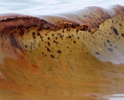 Vedado Poço de Petróleo no Golfo do México (2)