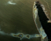 Vedado Poço de Petróleo no Golfo do México (12)