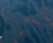Vedado Poço de Petróleo no Golfo do México (13)