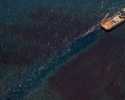 Vedado Poço de Petróleo no Golfo do México (15)