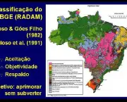 Vegetacao da Regiao Sudeste Brasileira (4)