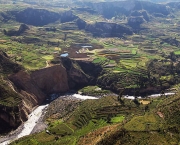 Vegetação do Peru (1)