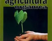viabilizacao-da-agricultura-organica-4