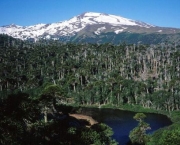 vulcao-copahue-localizado-na-fronteira-entre-chile-e-argentina-5