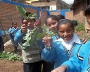 zoneamento-agroecologico-caracteristicas-gerais-18