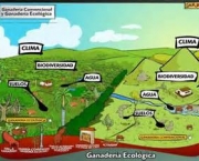 zoneamento-agroecologico-caracteristicas-gerais-8