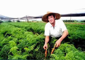Agricultura Sustentável no Brasil