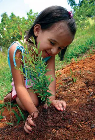 Criança Plantando Árvore