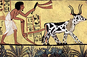 A agricultura na história