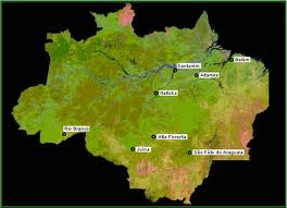 Projeto Amazonia sem Fogo