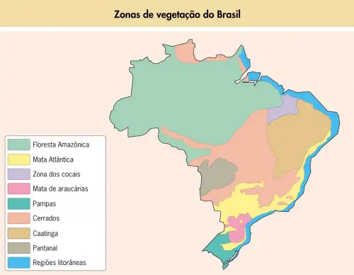 Mapa do Brasil - Vegetação