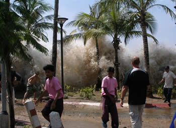 5 Desastres Naturais Pw