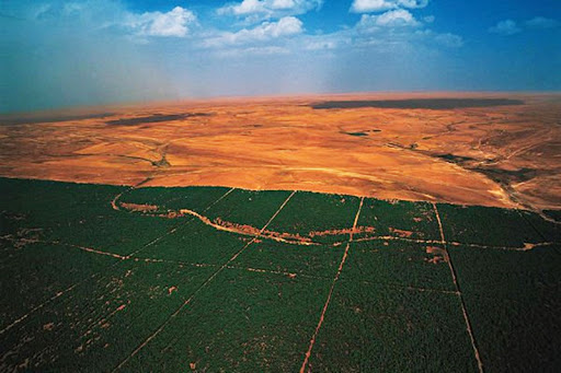 Grande Muro Verde na África