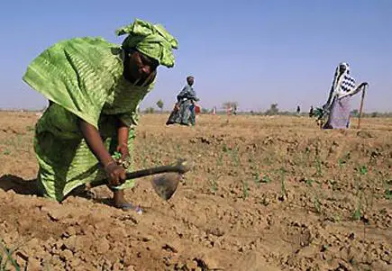 Agricultura na África