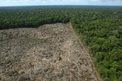 Mais Estímulo ao Desmatamento