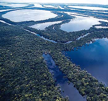 Bacia Hidrográfica Amazônica
