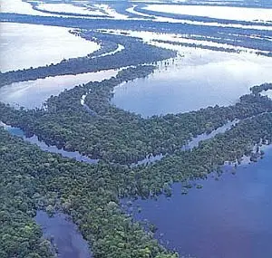 A Bacia Amazônica 