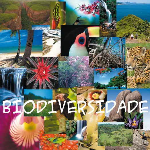 A Convenção Da Biodiversidade