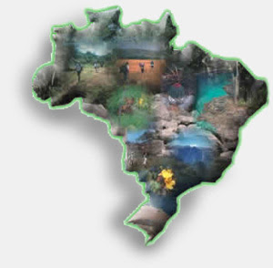 Meio Ambiente no Brasil