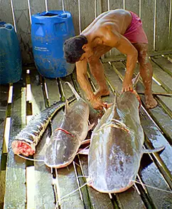 Pesca em Rios