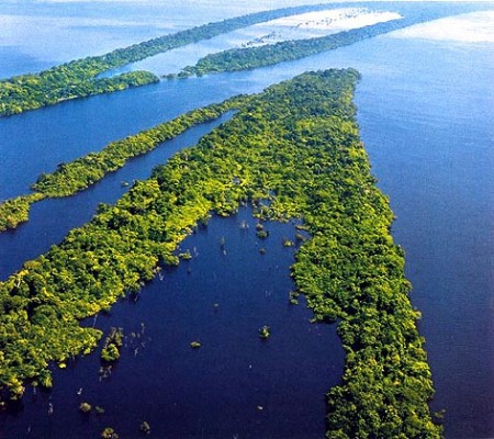 Preservação Da Amazônia