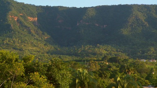 A Vegetação Do Ceará: Terra Da Caatinga