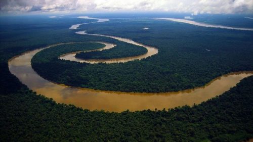 Curiosidades Sobre o Amazonas