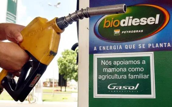 Usos Do Biodiesel e Etanol: Características e Aumento No Preço Dos Alimentos