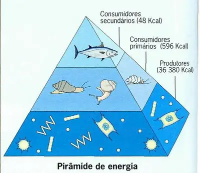 Pirâmide De Energia
